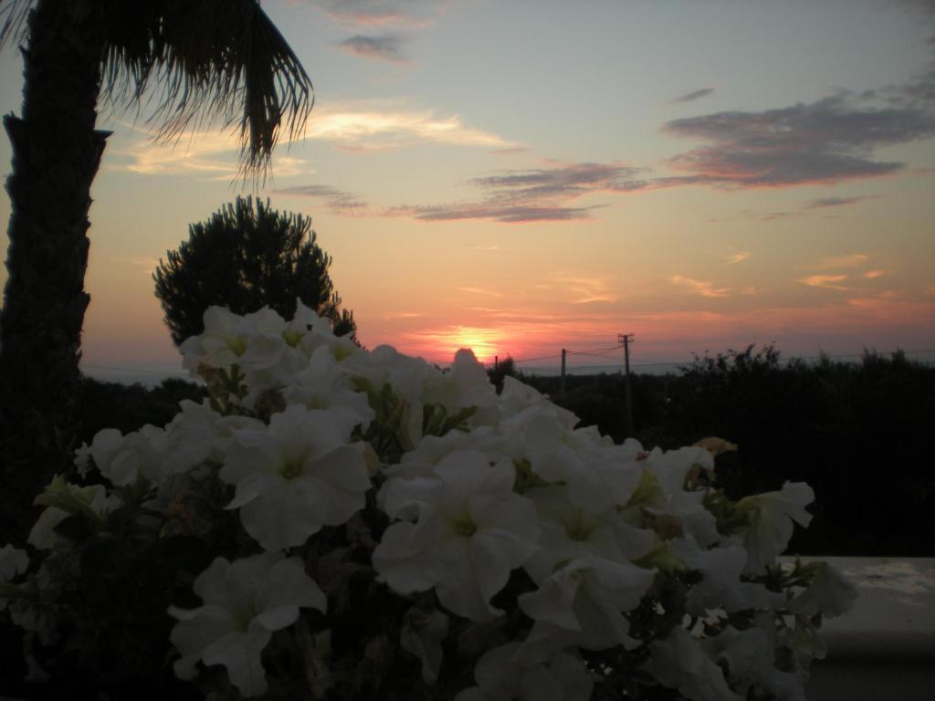 B&B Villa Colfiorito Gallipoli Εξωτερικό φωτογραφία